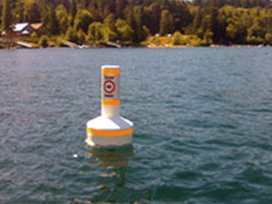 Tower/Marker Buoys